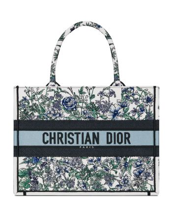 Christian Dior Medium Dior Book Tote Blue